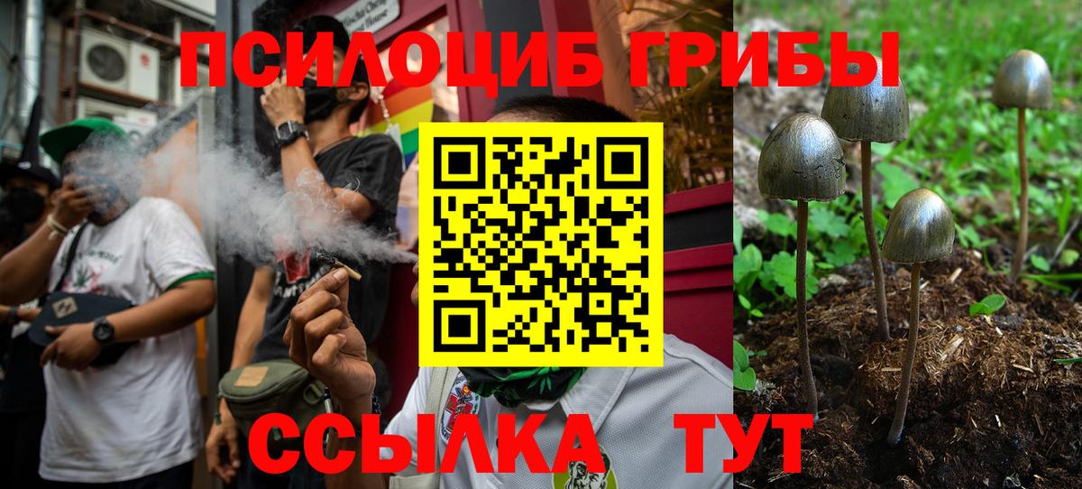 Галлюциногенные грибы Cubensis  Галлюциногенные грибы мицелий  Вход с VPN  Минеральные Воды 